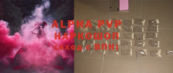 стаф Волгодонск