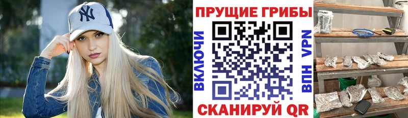 Псилоцибиновые грибы GOLDEN TEACHER  Белый 